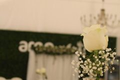 IMG_2128-1-scaled